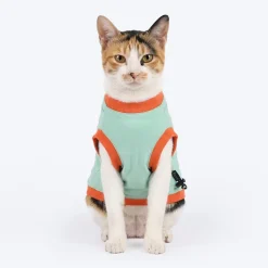 HUFT Little Magic T-Shirt For Cat - Mint Green