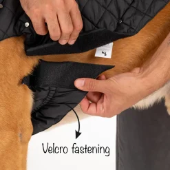 HUFT Luxe Stud Quilted Jacket For Dogs - Black