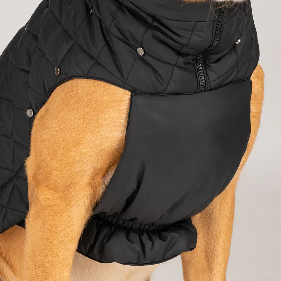 HUFT Luxe Stud Quilted Jacket For Dogs - Black