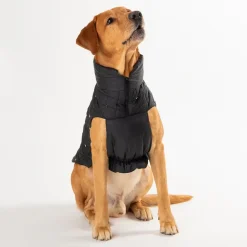 HUFT Luxe Stud Quilted Jacket For Dogs - Black