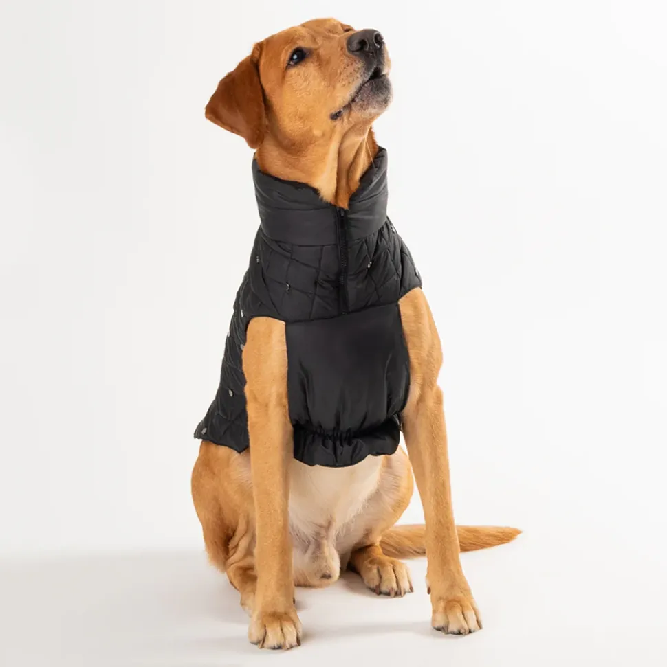 HUFT Luxe Stud Quilted Jacket For Dogs - Black