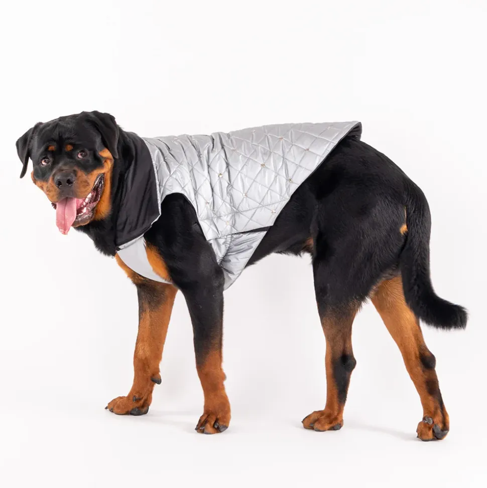 HUFT Luxe Stud Quilted Jacket For Dogs - Silver