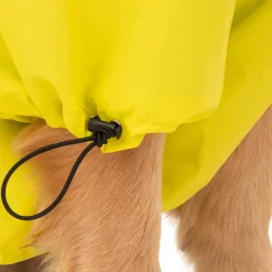 HUFT Magical Mist Dog Raincoat (Made to Order)