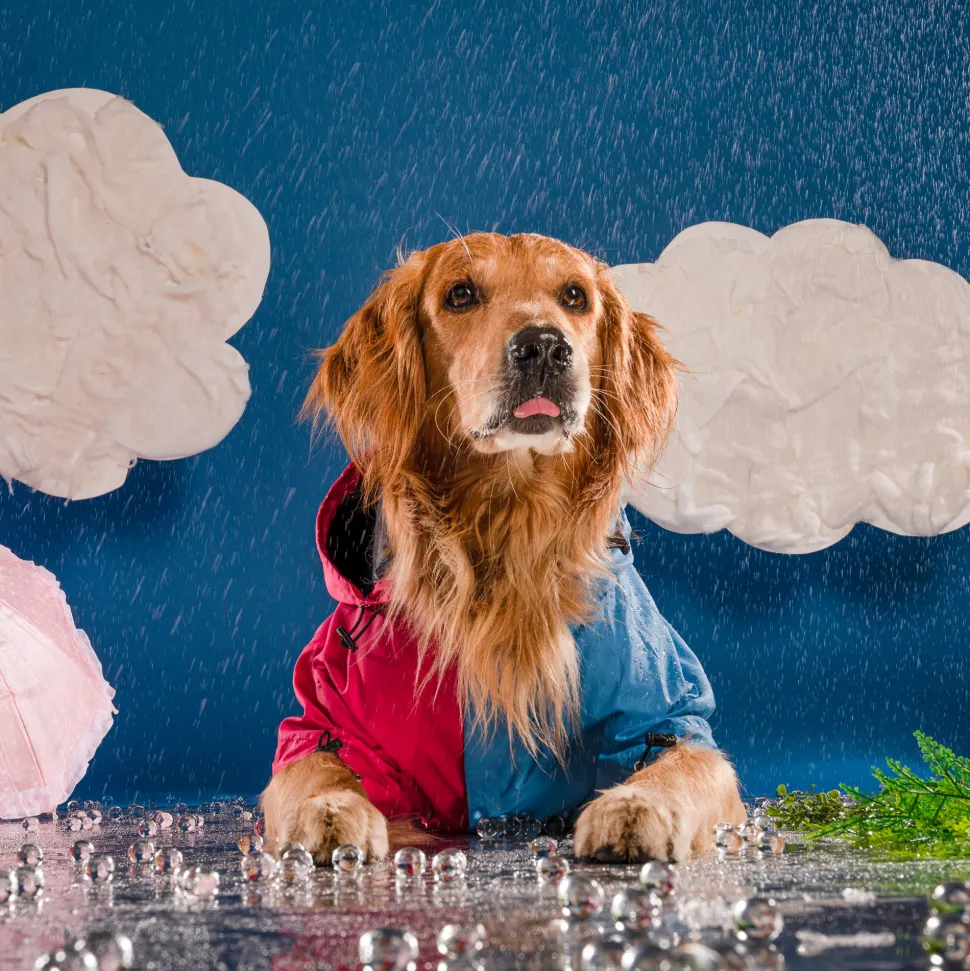 HUFT Magical Mist Dog Raincoat - Light Blue & Pink