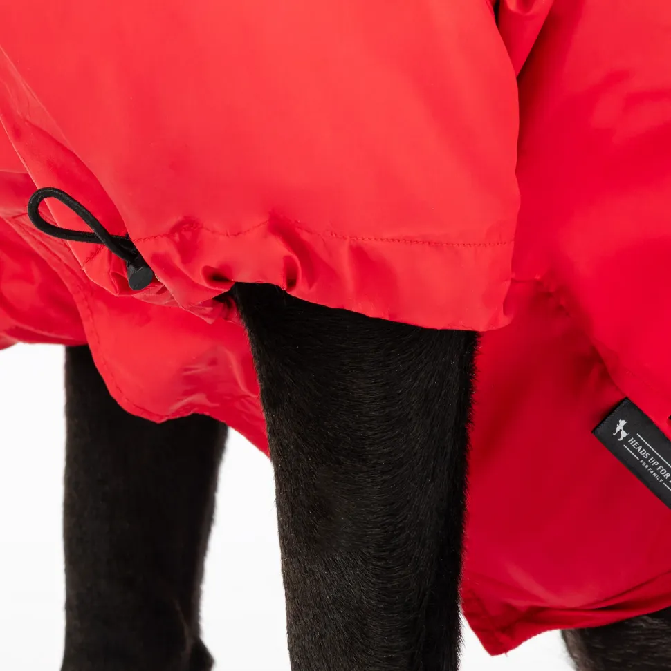 HUFT Magical Mist Raincoat For Dog - Red