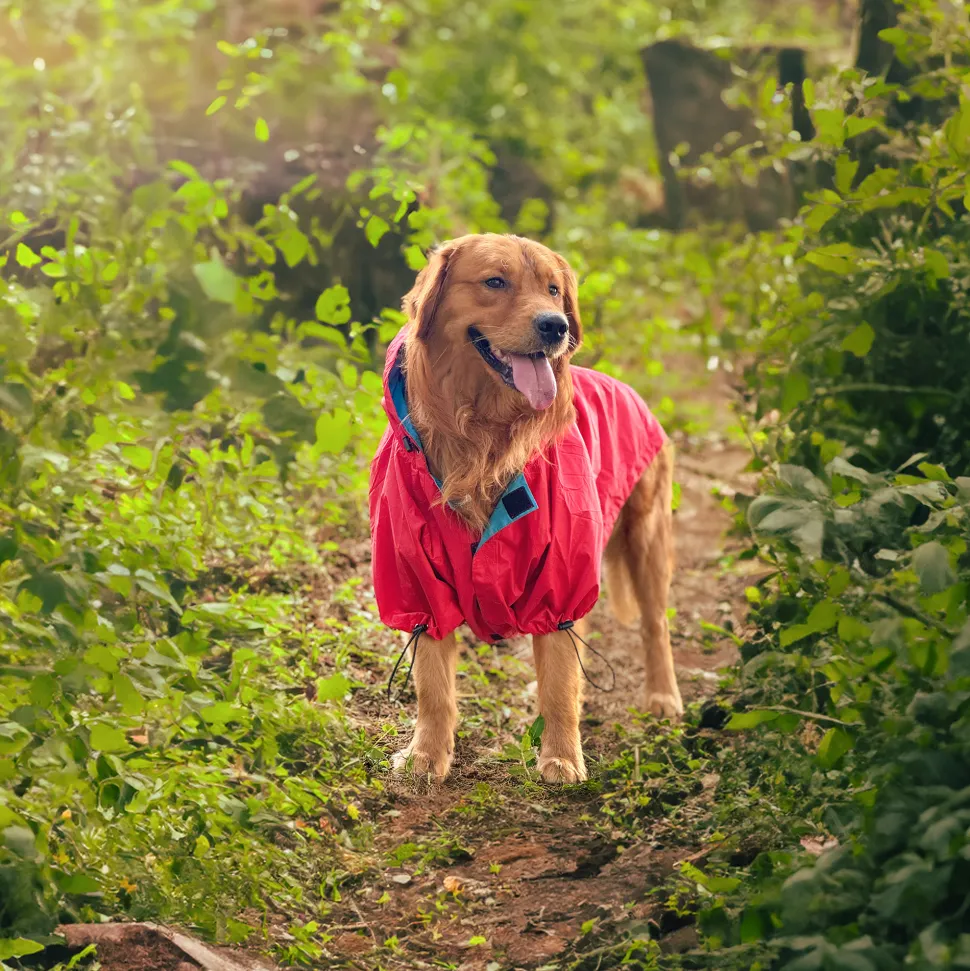 HUFT Magical Mist Raincoats For Dog & Cat - Coral