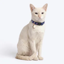 HUFT Meowvelous Collars For Cat - Dark Blue & Pastel Blue