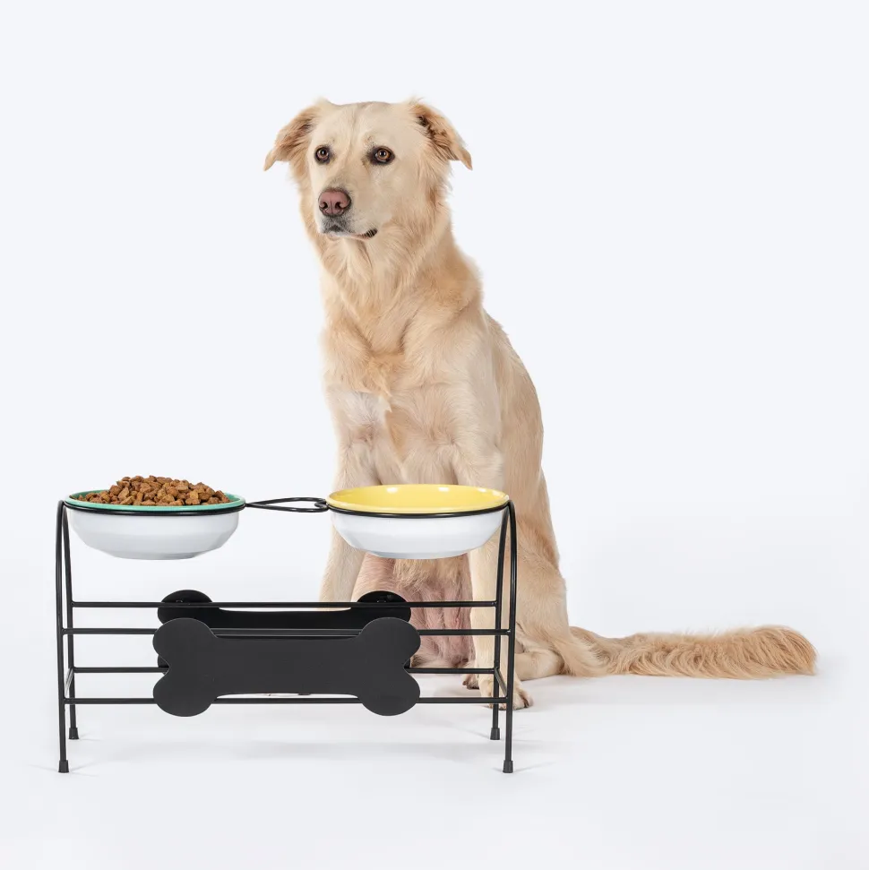 HUFT Pawlicious Double Diner For Dog - Multicolor