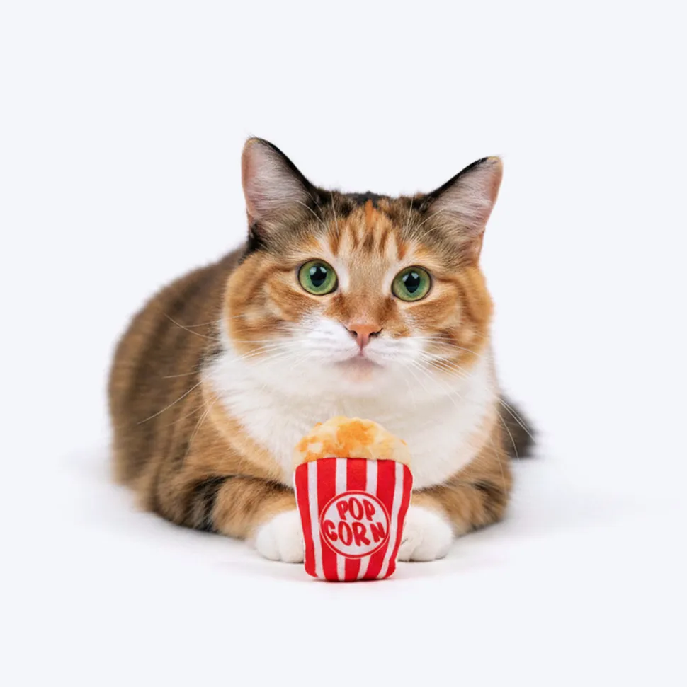 HUFT Pawrty Snacks Plush Toys With Catnip For Cat - Multicolor - Set Of 2