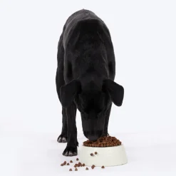 HUFT Prism Embossed Melamine Bowl For Dogs - Ivory