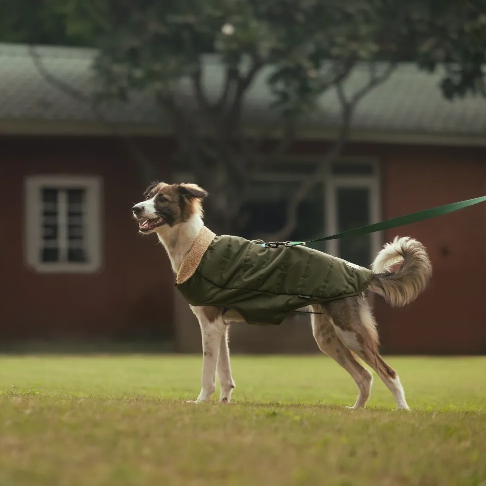 HUFT Puffer Paws Jacket For Big Dog - Green
