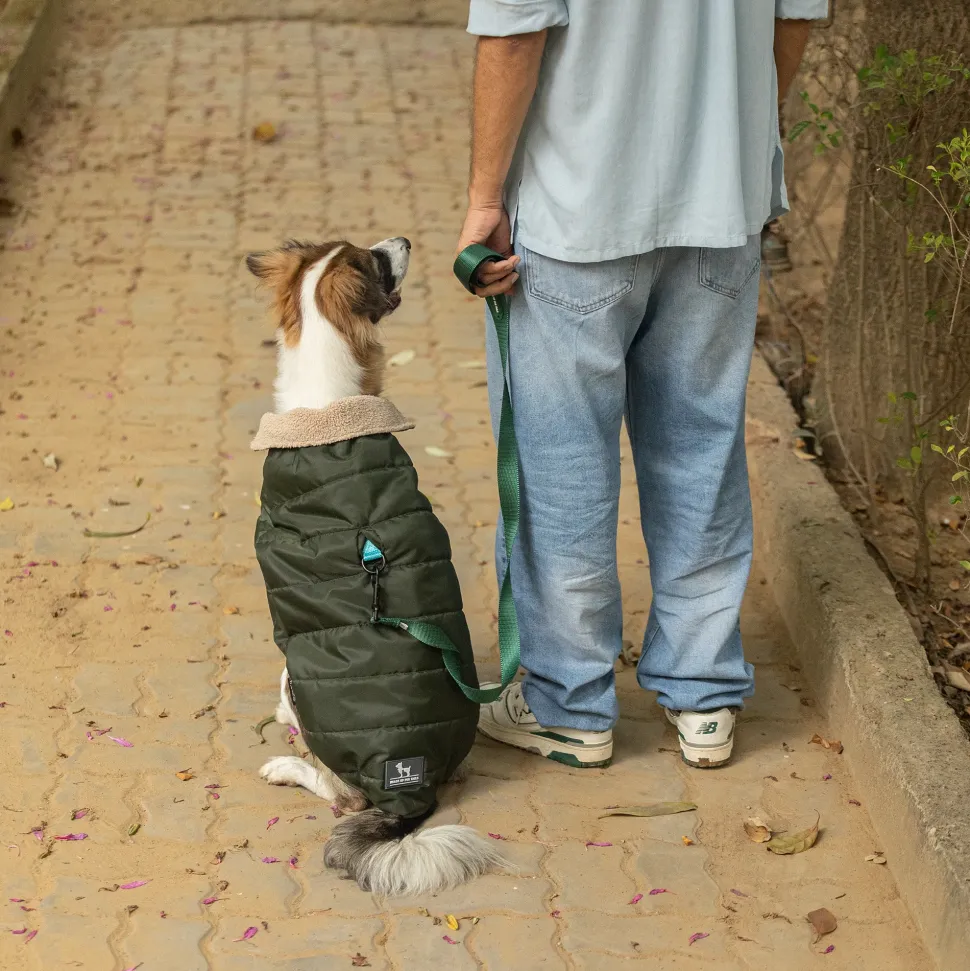 HUFT Puffer Paws Jacket For Big Dog - Green