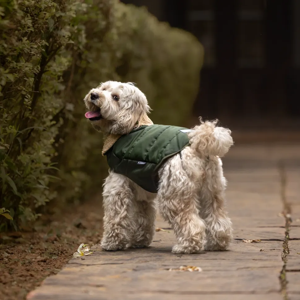 HUFT Puffer Paws Jacket For Big Dog - Green