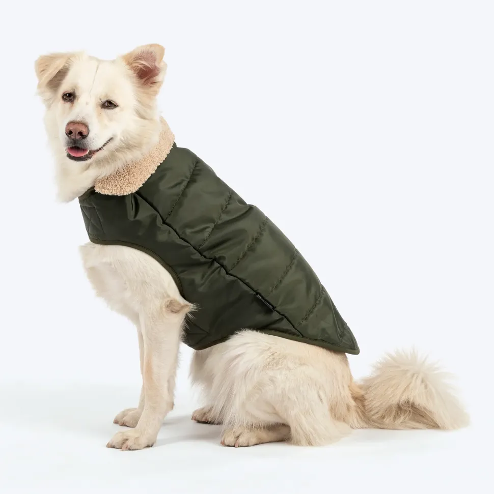 HUFT Puffer Paws Jacket For Big Dog - Green