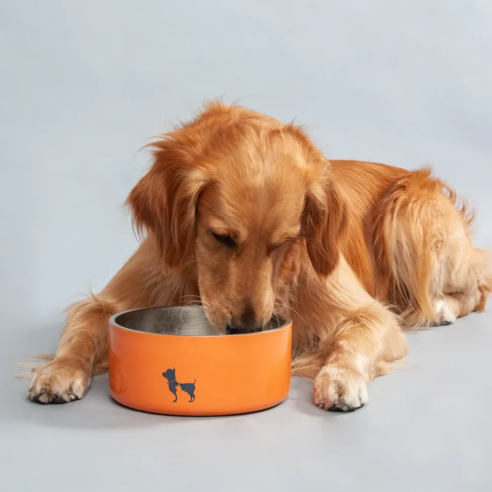 HUFT Quintessential Double-Walled Pet Bowl