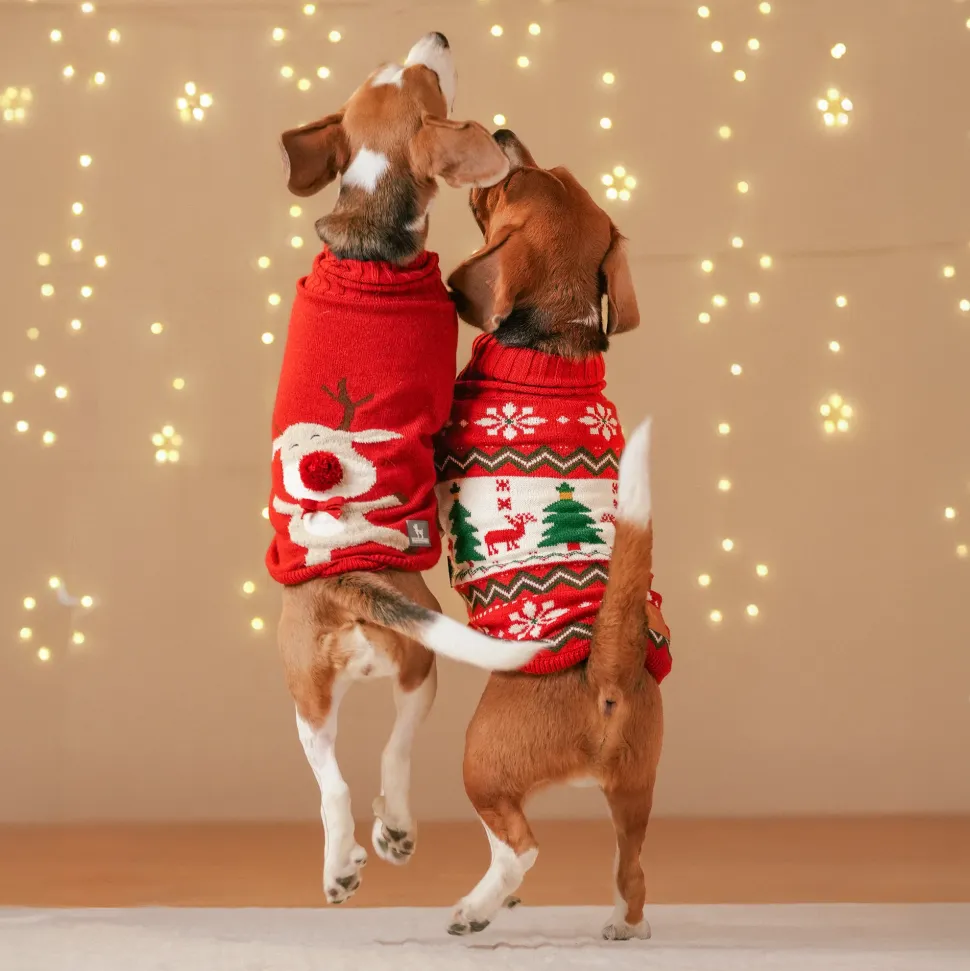 HUFT Rudolph's Red-Nose Sweater For Small Dog - Red