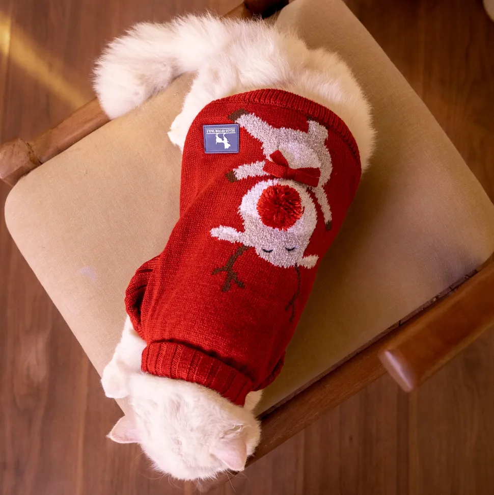 HUFT Rudolph's Red-Nose Sweater For Small Dog - Red