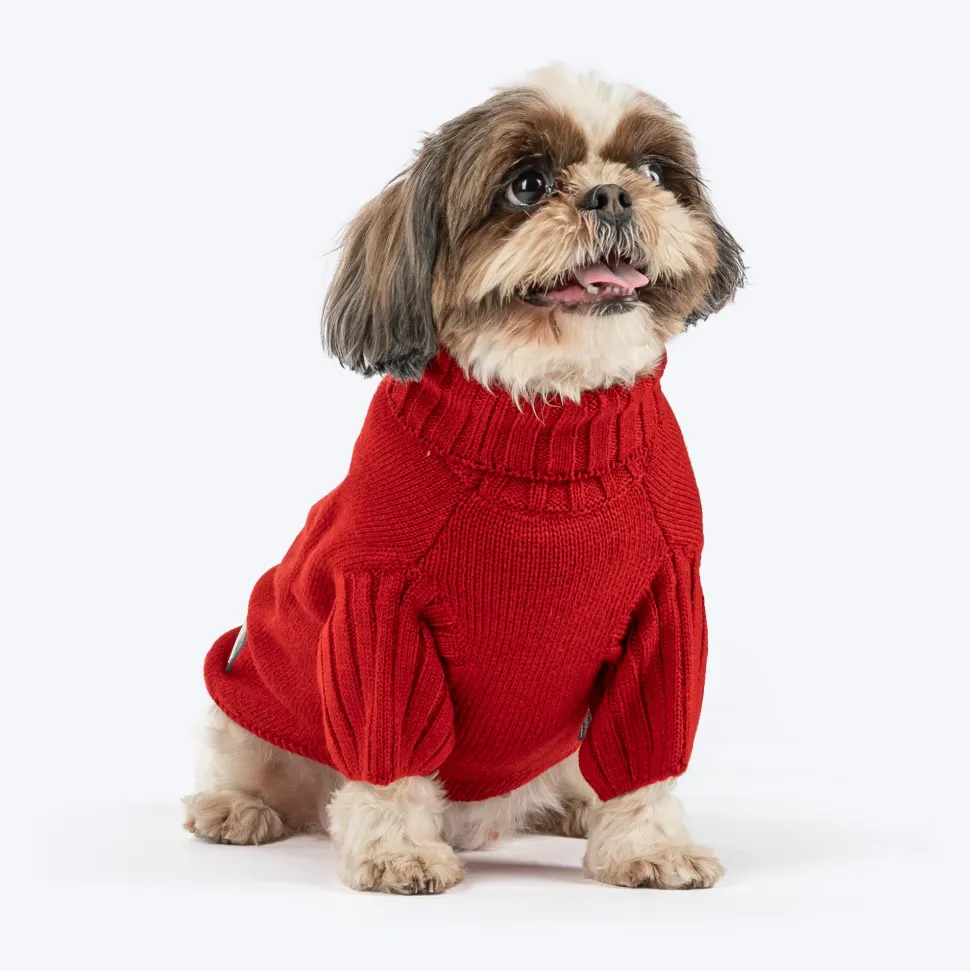 HUFT Rudolph's Red-Nose Sweater For Small Dog - Red