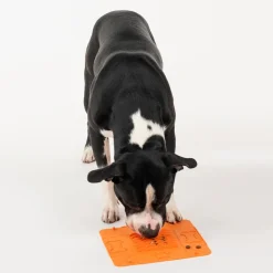 HUFT Silicone Collapsible Bowl For Dogs & Cats - Orange