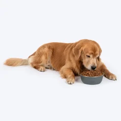 HUFT Sniff N' Snack Embossed Steel Bowl For Dogs - Grey