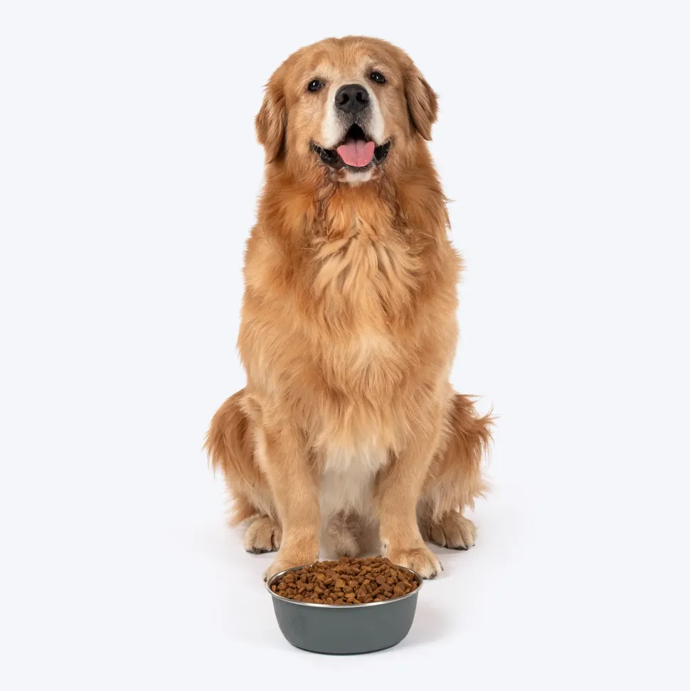 HUFT Sniff N' Snack Embossed Steel Bowl For Dogs - Grey
