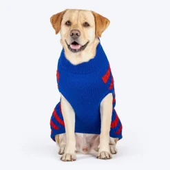 HUFT Snug Stripes Sweater For Dog - Blue & Red