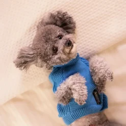 HUFT Snuggle Bear Sweater For Small Dog - Light Blue