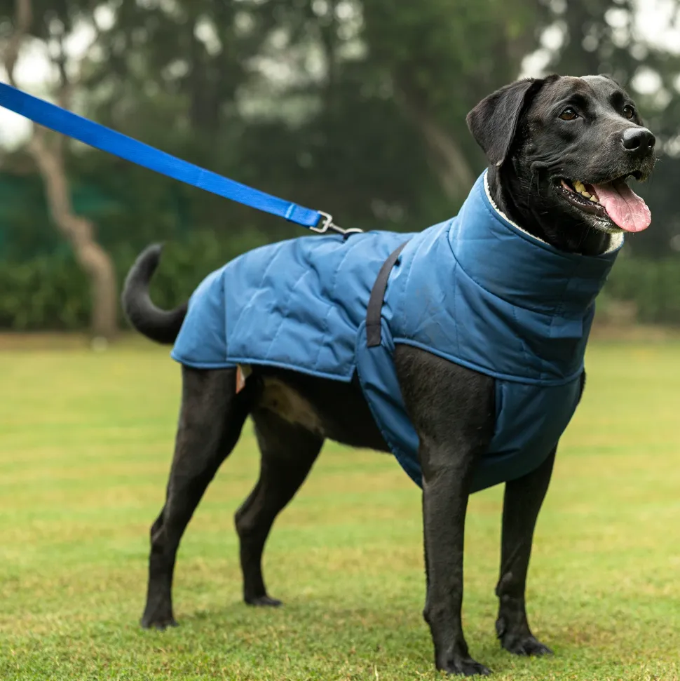 HUFT Snuggle Bug Jacket For Big Dog - Blue