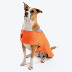 HUFT Snuggle Streetie Foundation Dog Jacket - Pack Of 3