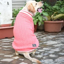 HUFT Striped Cable Knit Dog Sweater - Pink