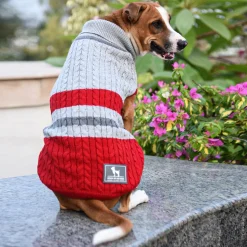 HUFT Striped Cable Knit Dog Sweater - Grey/Red