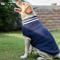 HUFT Striped Cable Knit Dog Sweater - Navy