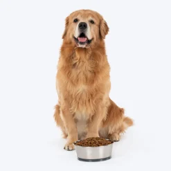 HUFT Suction Bowl For Dog - Grey