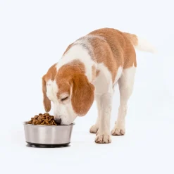 HUFT Suction Dog Bowl