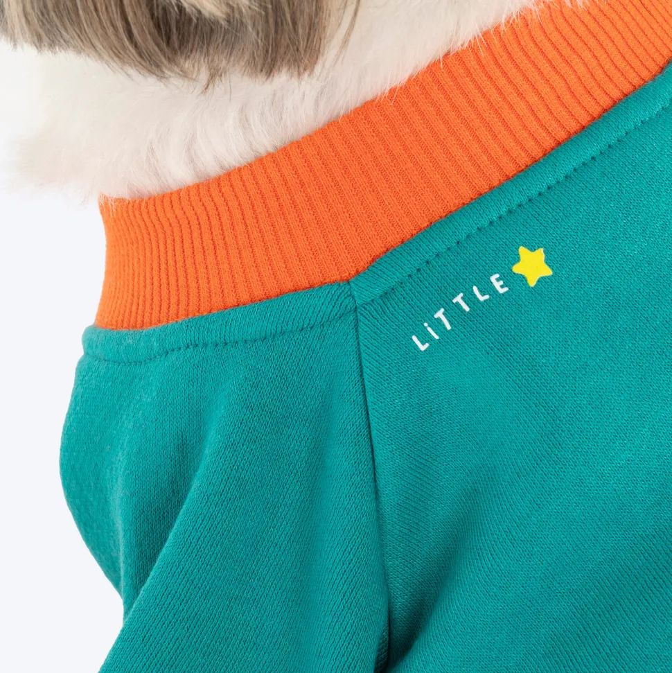 HUFT Sunny Bear Sweatshirt For Small Dog - Green