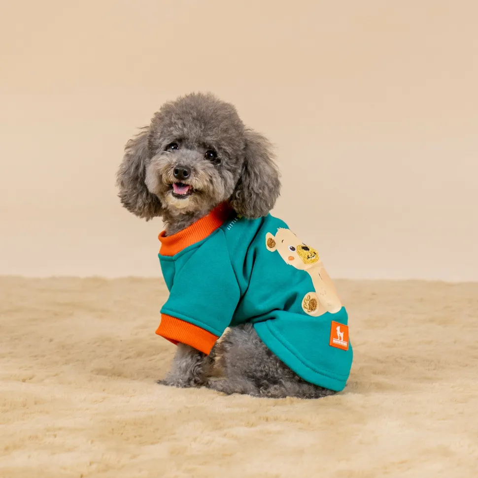 HUFT Sunny Bear Sweatshirt For Small Dog - Green