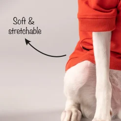 HUFT Sweatshirt for Dogs - Rust