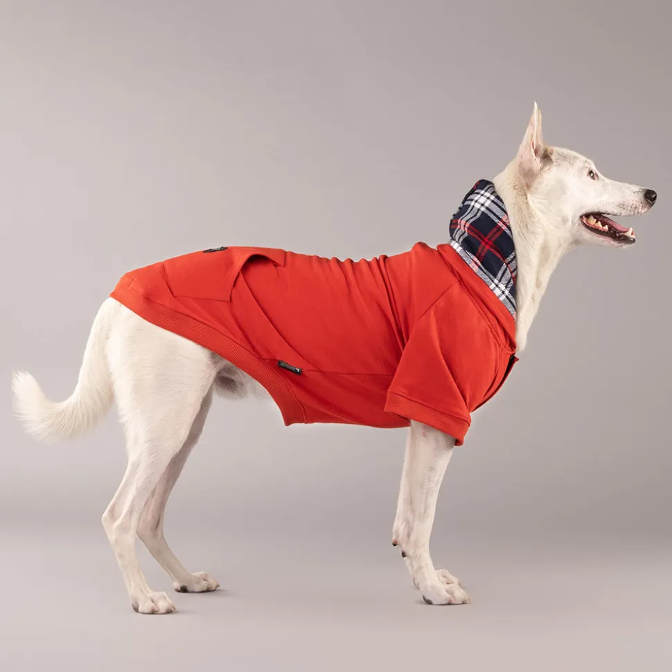 HUFT Sweatshirt for Dogs - Rust