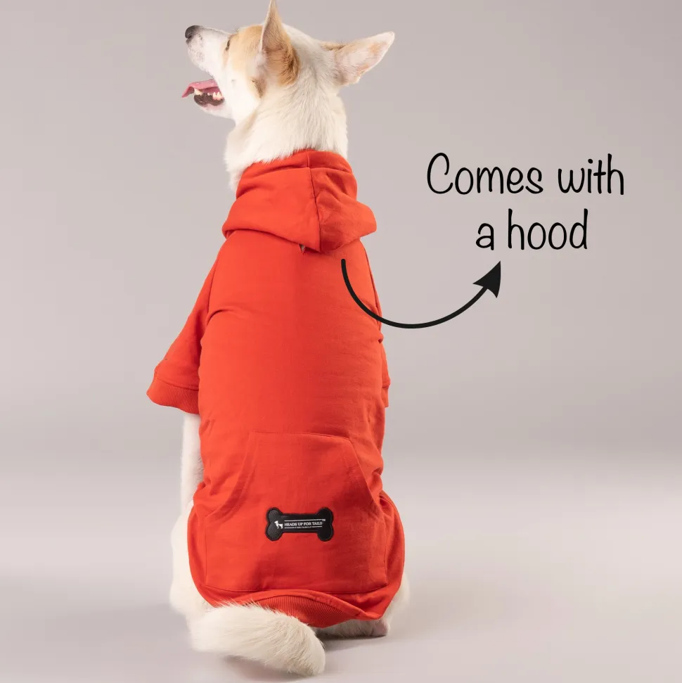HUFT Sweatshirt for Dogs - Rust