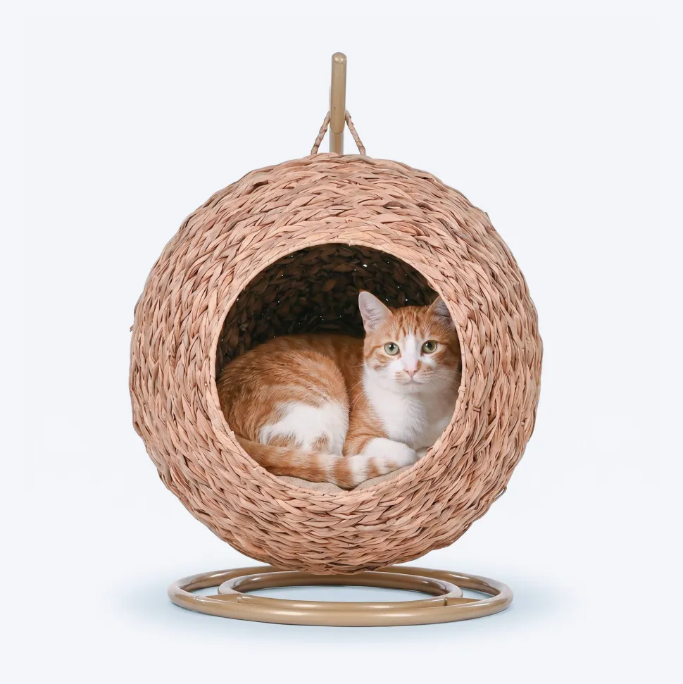 HUFT Swing And Snooze Bed With Cushion For Cat - Brown
