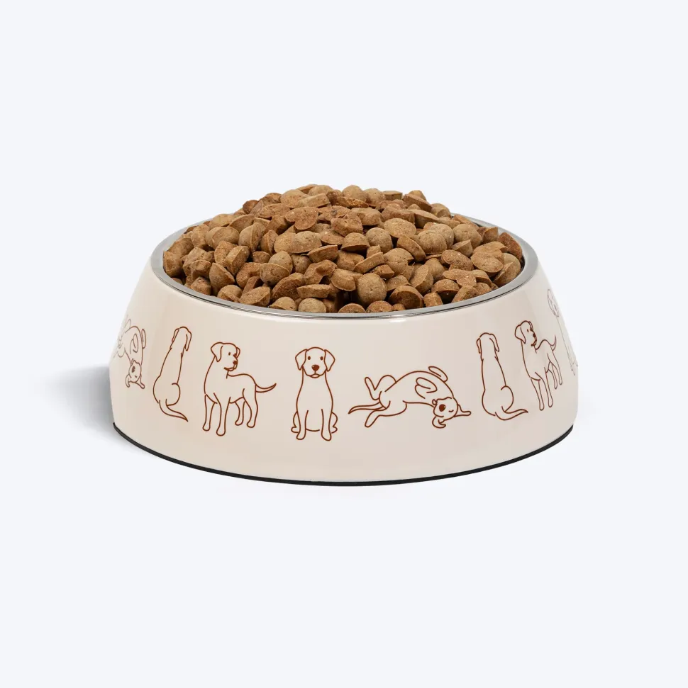 HUFT Wag And Doodle Printed Melamine Bowl With Steel Inserts For Dogs - Beige