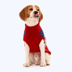 HUFT Winter Miracle Sweater For Dogs - Red & Blue