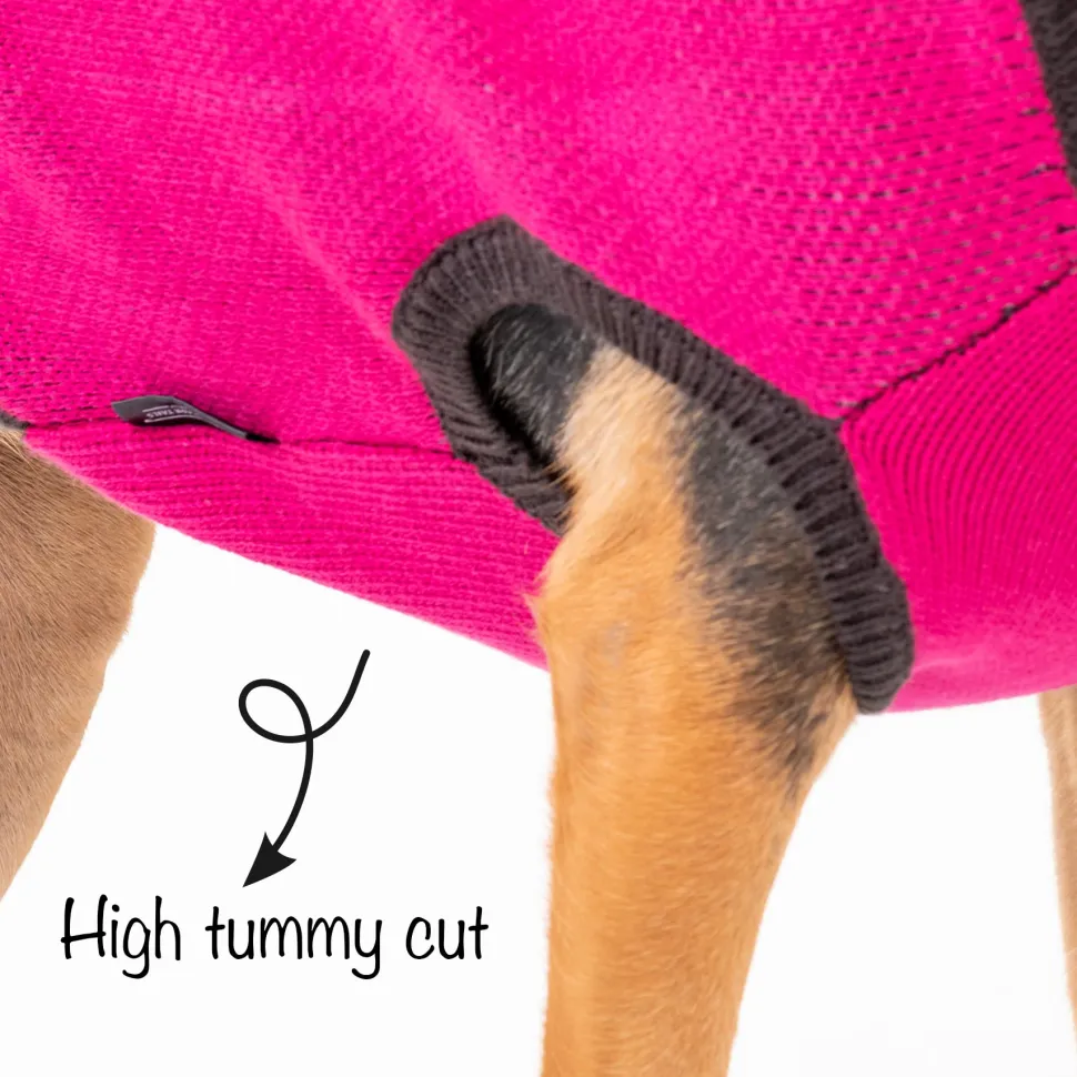 HUFT Winter Snugglers Dog Sweater - Pink