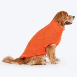 HUFT Winter Spice Sweater For Dog - Orange