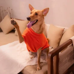 HUFT Winter Spice Sweater For Dog - Orange