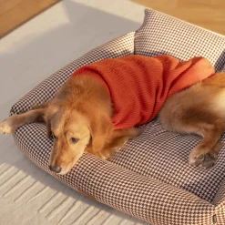 HUFT Winter Spice Sweater For Dog - Orange