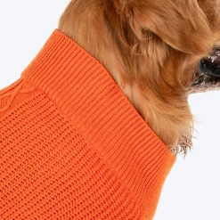 HUFT Winter Spice Sweater For Dog - Orange