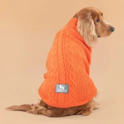 HUFT Winter Spice Sweater For Dog - Orange