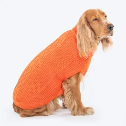HUFT Winter Spice Sweater For Dog - Orange