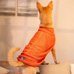 HUFT Winter Spice Sweater For Dog - Orange